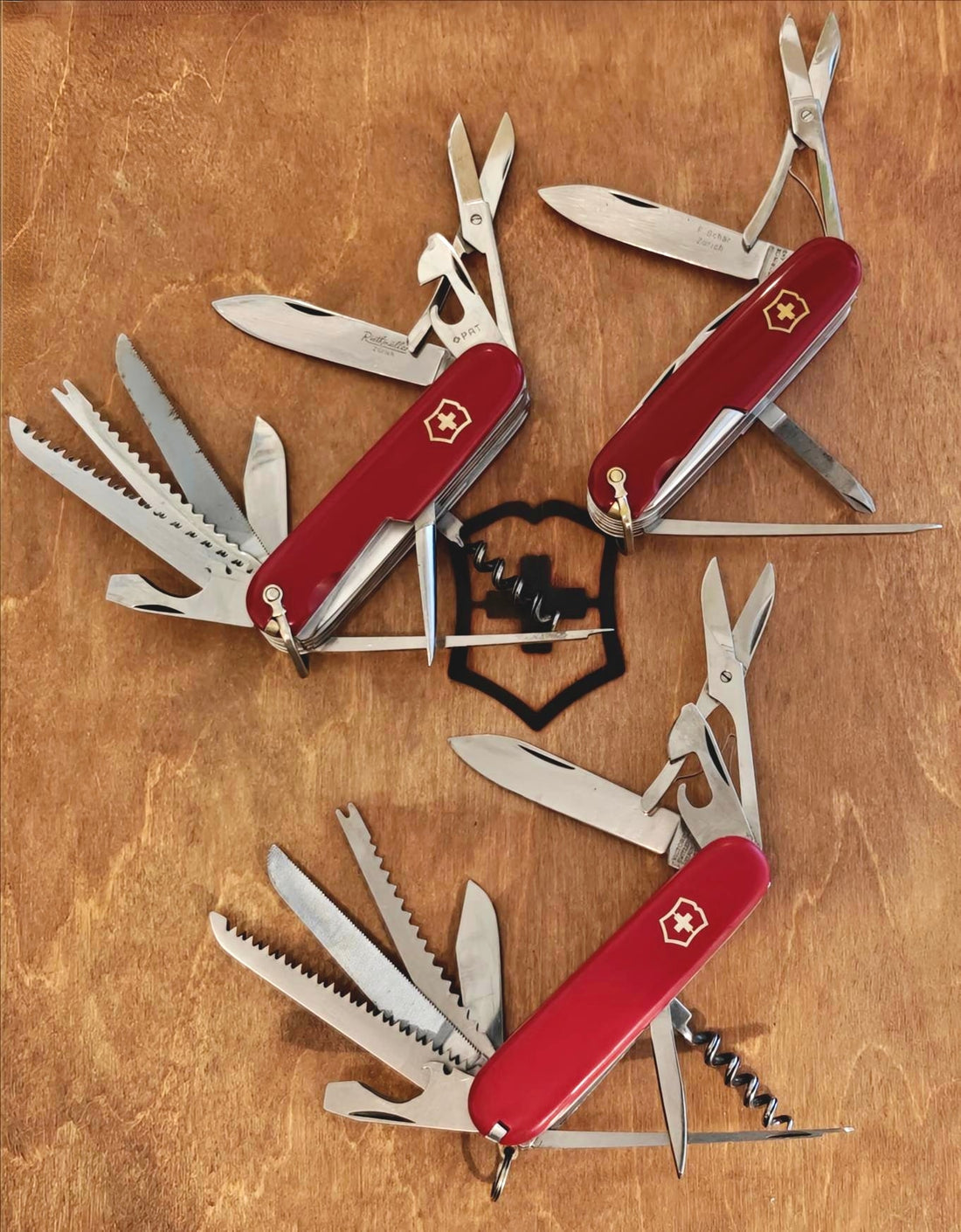 📝 Victorinox Champion A & B  🏆