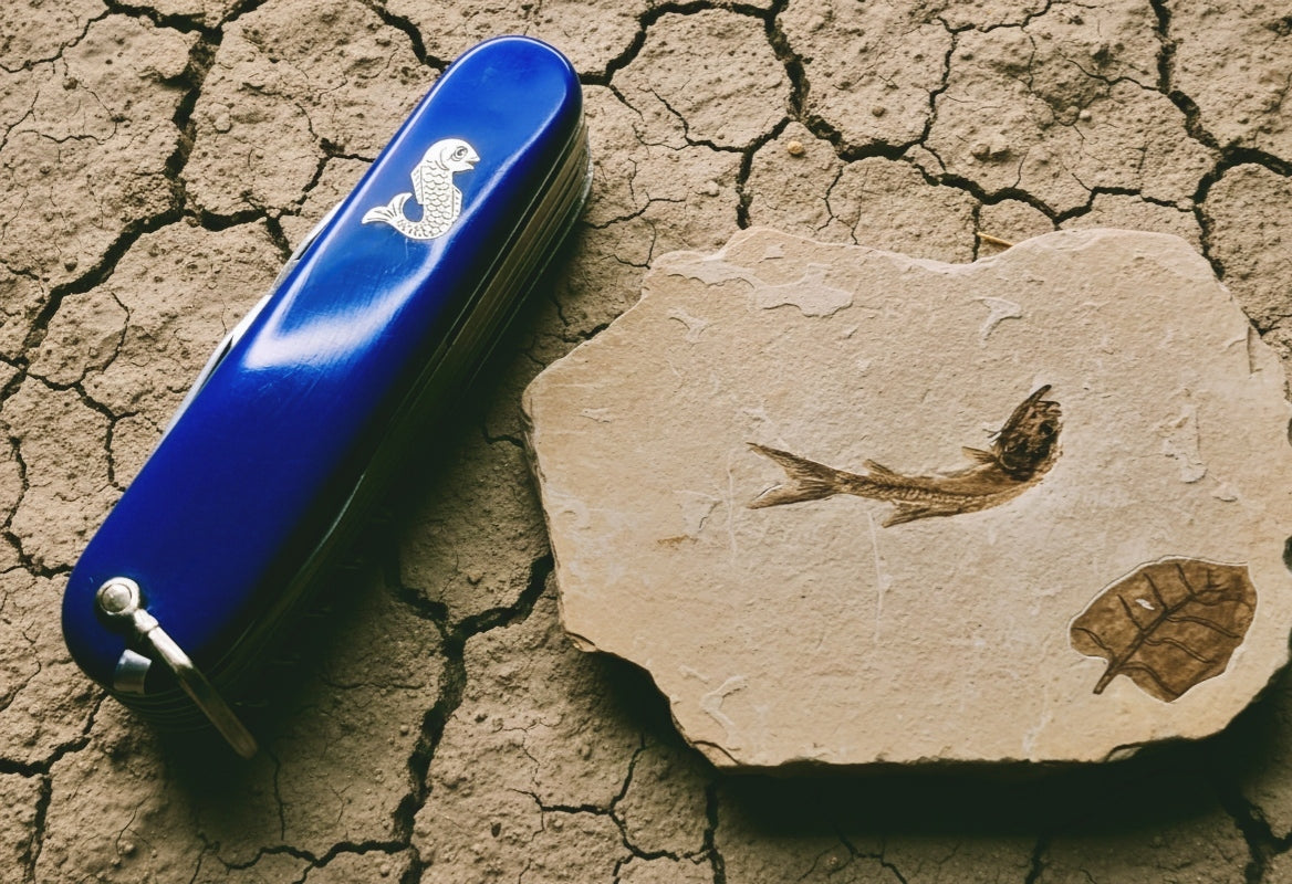 Victorinox Fishermesser blue Angler 