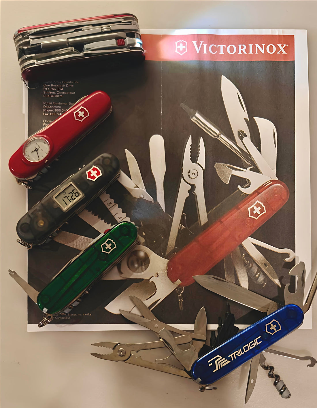 📜1991–2024 · Platform Maturity and Catalogue Segmentation