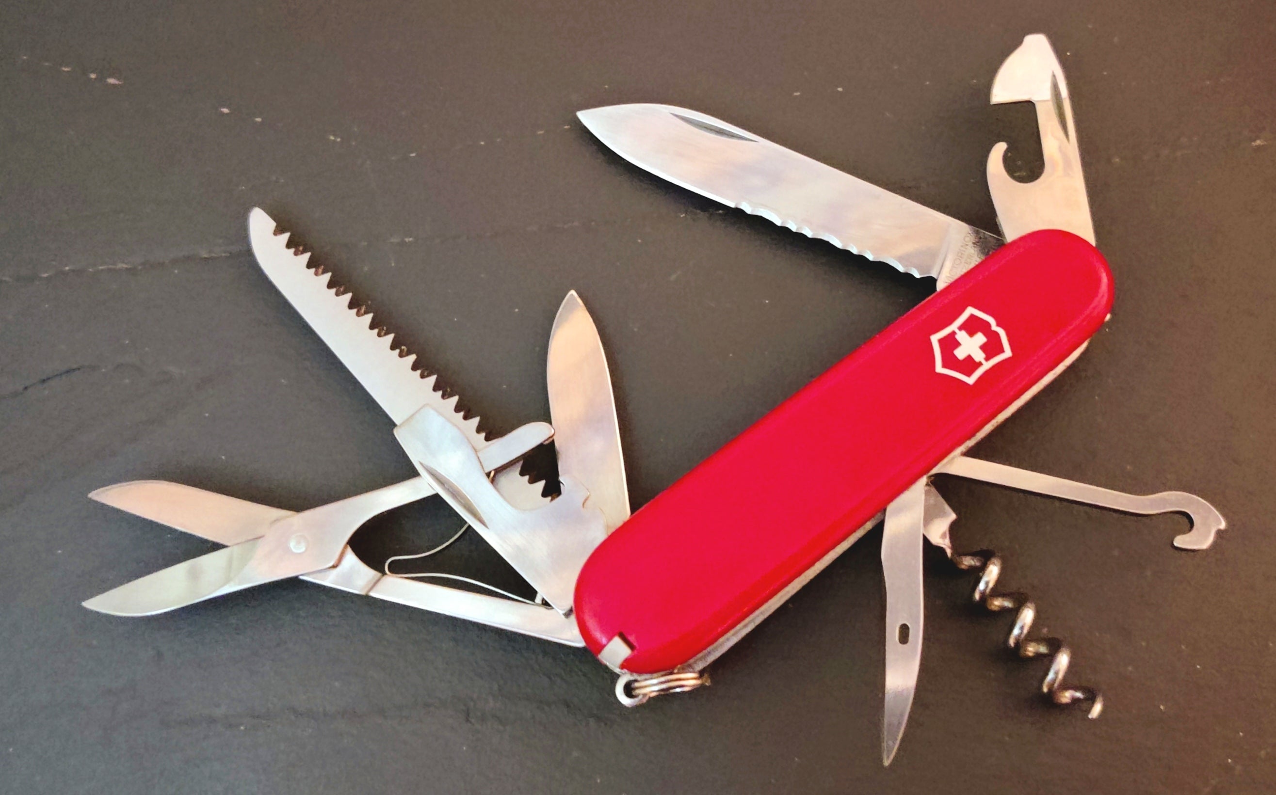 Victorinox Rainier