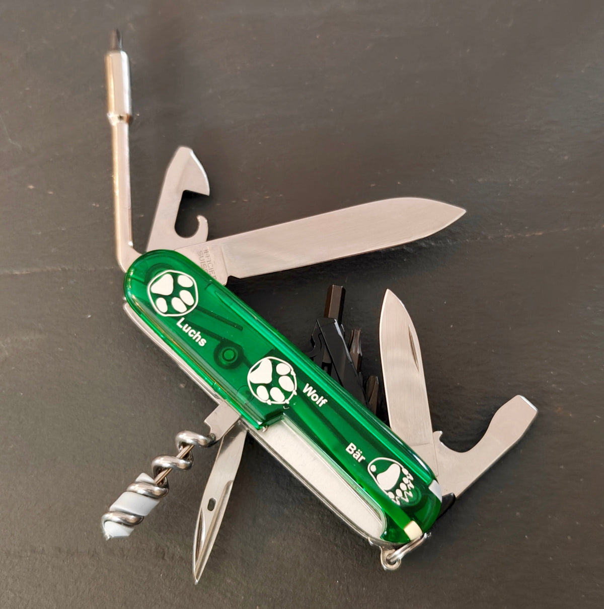 Victorinox Swiss Army Knife Cybertool S Green pro natura