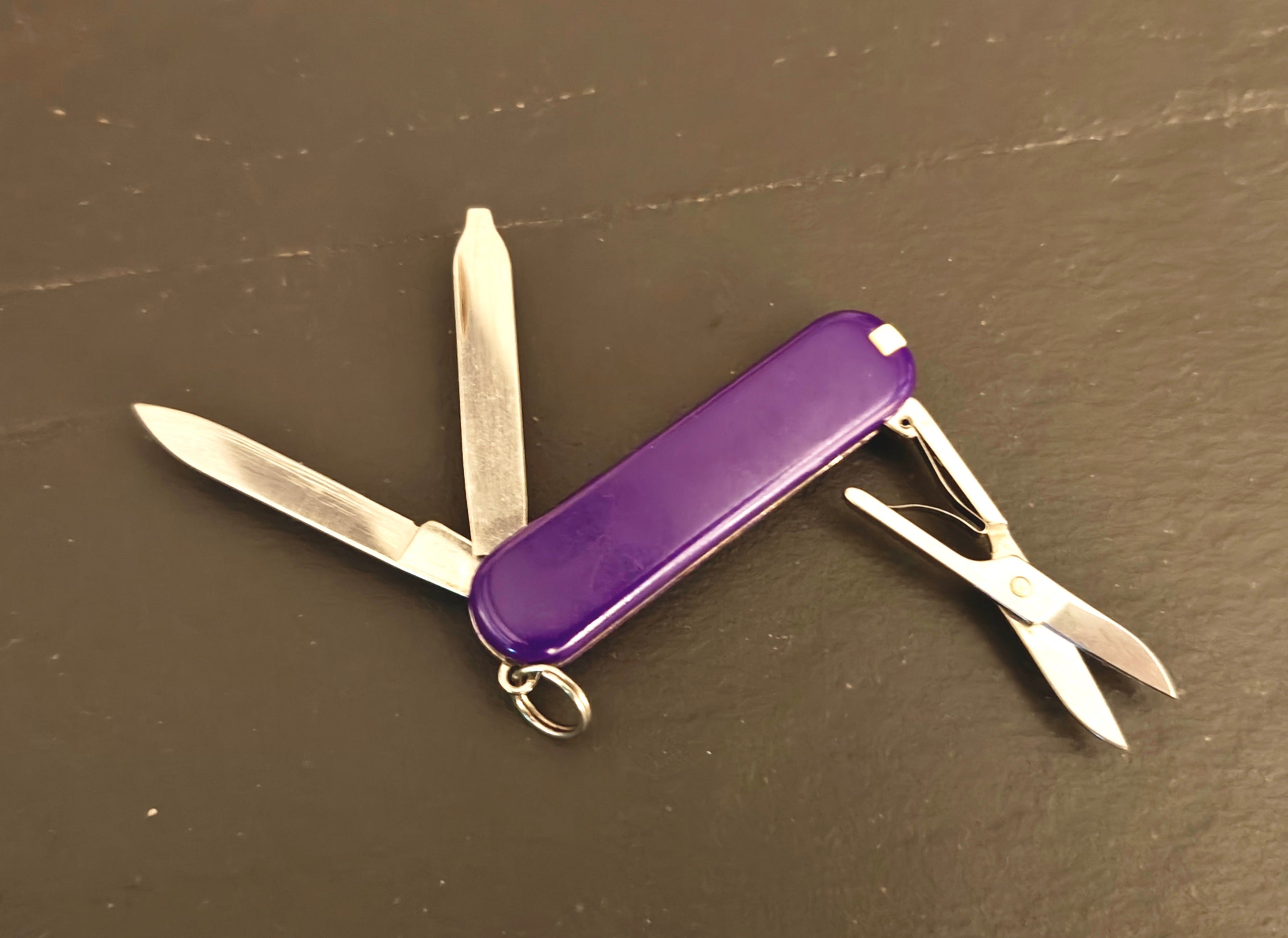 Victorinox Swiss Army Classic SD Morado